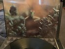 STEELY DAN Katy Lied -1970's Pressing in SHRINK w/EX VINYL