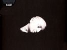 Sofa - Source Crossfire (Vinyl 2LP - 2021 - CA - Original)