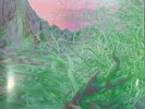 techno idm acid LP EARTH TRAX Sensual World NEW Shall Not Fade 2022