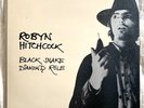 Robyn Hitchcock - Black Snake Diamond Role Lp - UK Aftermath Press - 1985
