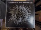 Guided By Voices - Devil Between My Toes - 1993 - Vinyl - M-