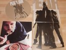 Pearl Jam & Blind Melon LP Vinyl Record Lot: Pearl Jam's Ten & Blind Melon Soup