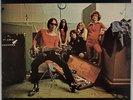 FLAMIN GROOVIES: Teenage Head US Kama Sutra KSBS 2031 ’71 Blues Rock LP NM Vinyl