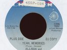 Northern Soul 45 - Allison and Calvin Turner - Yeah Memories Checker Promo HEAR