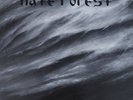HATE FOREST Innermost LP blue yellow vinyl OSMOSE PRD Drudkh Ukraine Black Metal