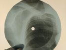 SHOCKING BLUE LOVE IN THE AIR X-Ray USSR Record Roentgen Bones Ribs Music Vinyl