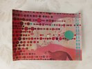 ELVIS COSTELLO 1978 Polish postcard flexi disc Lip Service 14x10 cm (6x4 inches)