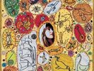* Joanna Newsom - THE MILK EYED MENDER - Vinyl LP - NEW & SEALED  Rare