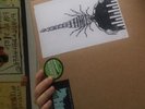 King Gizzard and the Lizzard Wizard Record 