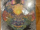 MEATBODIES Vinyl Orange Color LP Fuzz Ty Segall Together Pangea Wand Oh Sees