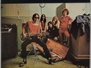 FLAMIN GROOVIES: Teenage Head US Kama Sutra KSBS 2031 ’71 Blues Rock LP NM Vinyl