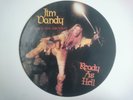 JIM DANDY READY AS HELL HEAVY METAL AMERICA HMA PD 5 PICTURE DISC