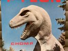 Pylon Chomp Rock LP on DB