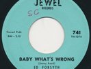 ED FORSYTH Baby What's Wrong 45 Single Jewel Rocker Elvis Dale Hawkins HEAR