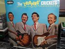 THE CRICKETS (BUDDY HOLLY).  