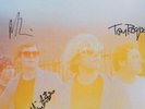 THE CHARLATANS Head Full of Ideas/Trust Is for Believers x3 Opaque Vinyl TriFold