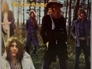 MOTT THE HOOPLE: Wildlife US Atlantic Rock SD 8264 Vinyl LP NM Superb