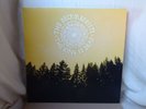 The Decemberists:   The King Is Dead   NEAR MINT  2011 UK  LP PLAYED ONCE