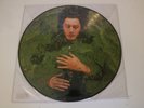 alain bashung lp picture disque fantaisie militaire