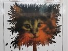 Jazz Vinyl. Ronnie Foster . Cheshire Cat. N.M.