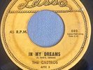 DOO WOP 45 CASTROS LASSO 502 IN MY DREAMS / IS IT RIGHT?