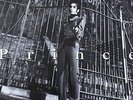 HMV Shibuya  PRINCE COME(9362457001)