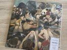 NEW SUPER RARE Panda Bear - Person Pitch COLORED Vinyl 2xLP