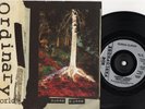 DURAN DURAN ordinary world*my antarctica 1993 UK PARLOPHONE 7
