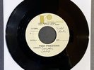 SURF PUNKS Locals Only RARE TEST PRESSING 7