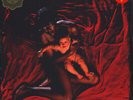 Afghan Whigs, The - Congregation Loser Edition (Vinyl 2LP - 1992 - US - Reissue)