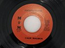 Rare Sweet Soul 45 - Calif. Malibus-  M&M Records