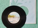 Junior Ross and the Spears - Babylon Fall..  1976 UK 7