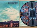 Noel Gallaghers’s High Flying Birds -  Who Built The Moon Pic Disc 2017 Vinyl NM
