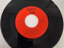 Lunar Lab LL-007 Legionaire's Disease Band Rather See You Dead Punk 45rpm Mint