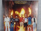 Lynyrd Skynyrd – Street Survivors-Vinyl LP-1977- MCA-3029 Banned FLAMES Cover
