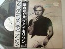 PROMO WHITE LABEL / VAN MORRISON WAVELENGTH / WITH OBI