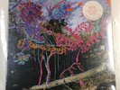 Animal Collective – Here Comes The Indian Vinyl LP NEW/SEALED