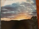 Blue Orchids, The Greatest Hit (Money Mountain) vinyl LP, 1982