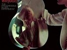 Johnny Winter The Progressive Blues Experiment (gold Vinyl/limited Edition (New)