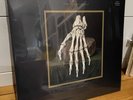 Wanderwelle – A State Of Decrepitude BONE VINYL LP NEW SEALED Ambient Drone /400