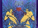 Win Us Over by ASG (Vinyl, Jan-2008, Volcom Entertainment)