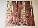Anthony Green Beautiful Things Vinyl LP Circa Survive