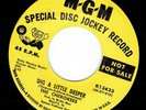 CHEROKEES 45-1965-Dig A Little Deeper (MGM) DJ Wild Fuzz Freakbeat