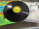 Misty In Roots - Earth LP VG+ / EX Roots, Reggae, Dub, Ska