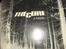 The Cure - a forest   7