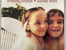 Smashing Pumpkins - Siamese Dream Orange Marbled Vinyl 1993 2 LP Records