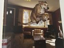 Weezer Raditude [LP] (Vinyl, Oct-2009, DGC/Interscope)