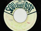 Ska Inst. 45 - Lloyd Charmers - In The Spirit - Soul Beat Jamaica blank - mp3