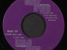 BRADFORDS: cattin' around / peter and the cat ARCTIC 7