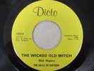 RARE MICHIGAN GARAGE THE BELLS OF RHYMNY ( THE WICKED OLD WITCH ) on DICTO